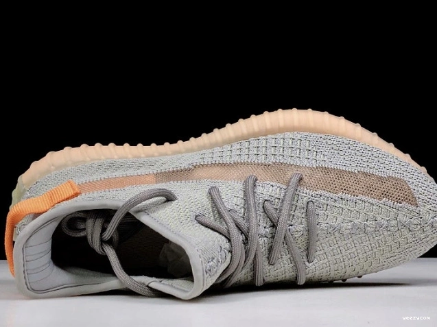 Form EG7492 Yeezy True V2 Boost 350 Adidas 1004